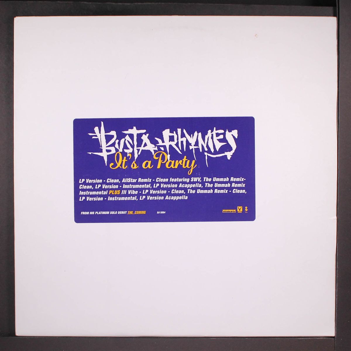 it's a party / instro by BUSTA RHYMES