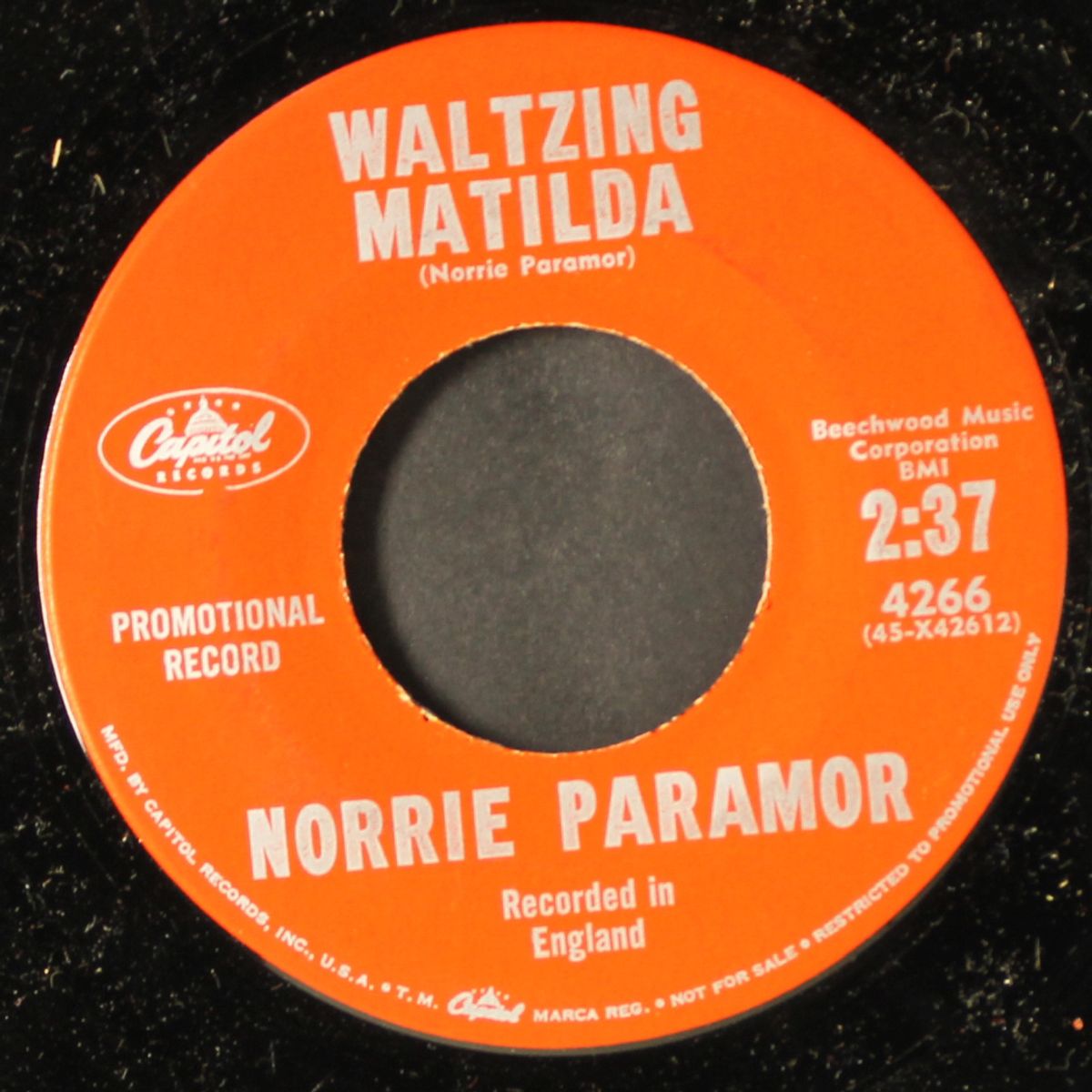 barcelona / waltzing matilda by NORRIE PARAMOR