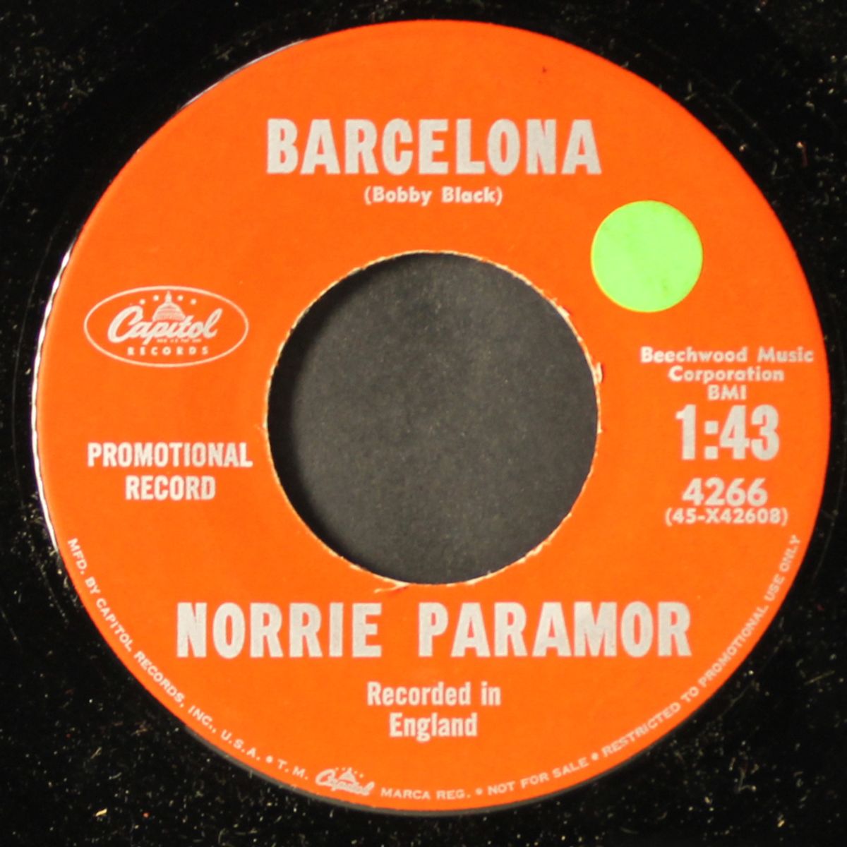 barcelona / waltzing matilda by NORRIE PARAMOR