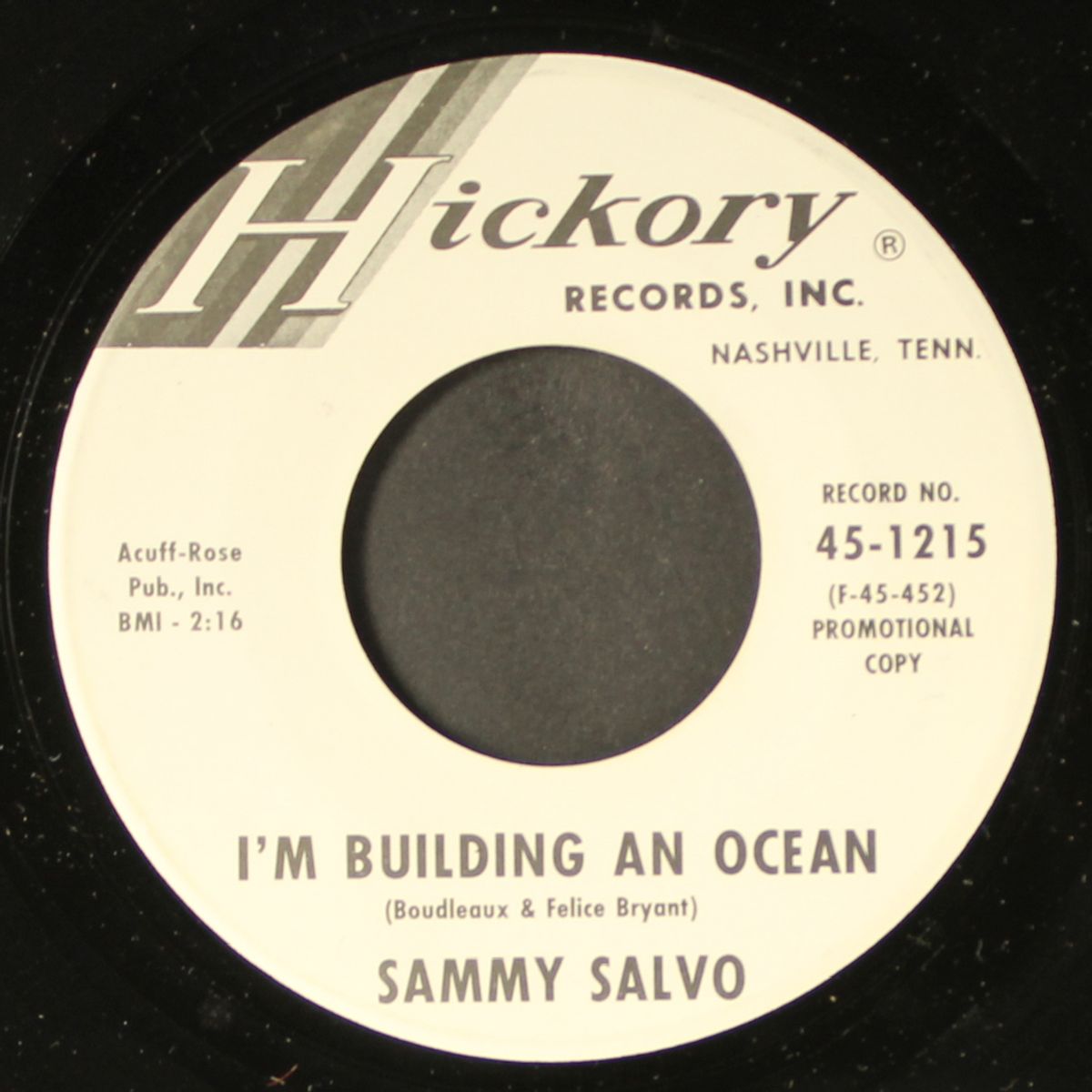 throw me in a crowd of girls / i'm building an ocean by SAMMY SALVO