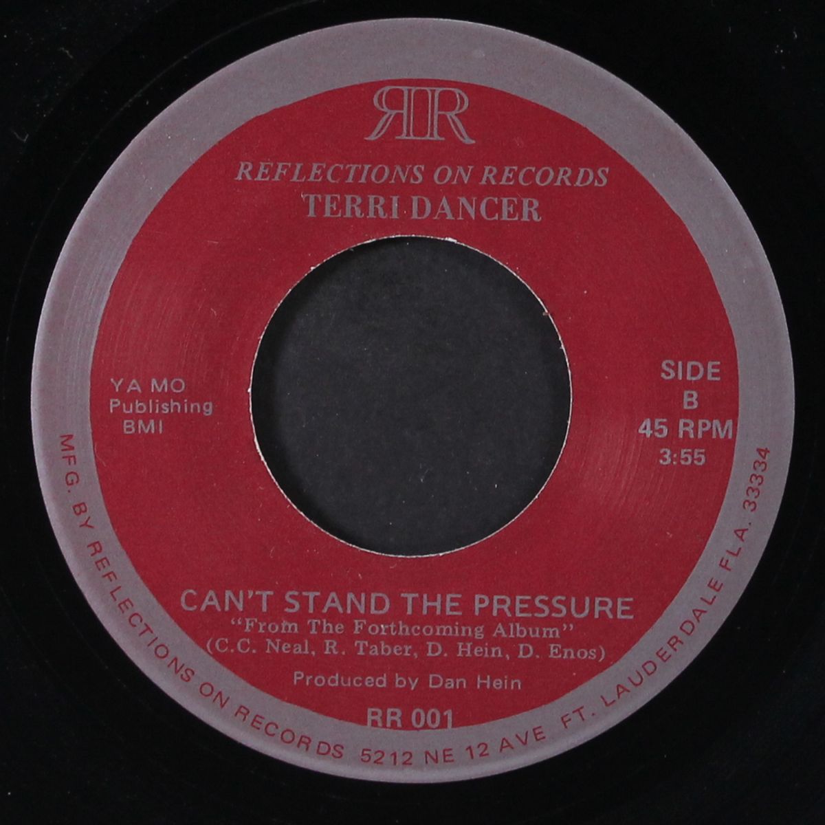 learn from the burn / can't stand the pressure by TERRI DANCER