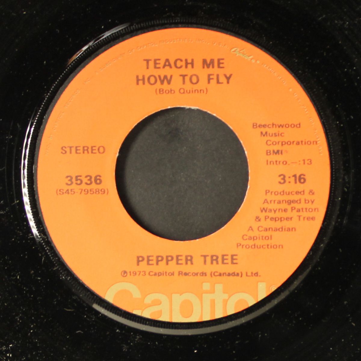 midnight lady / teach me how to fly by PEPPER TREE