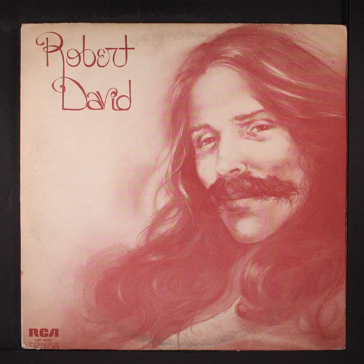 robert david by ROBERT DAVID