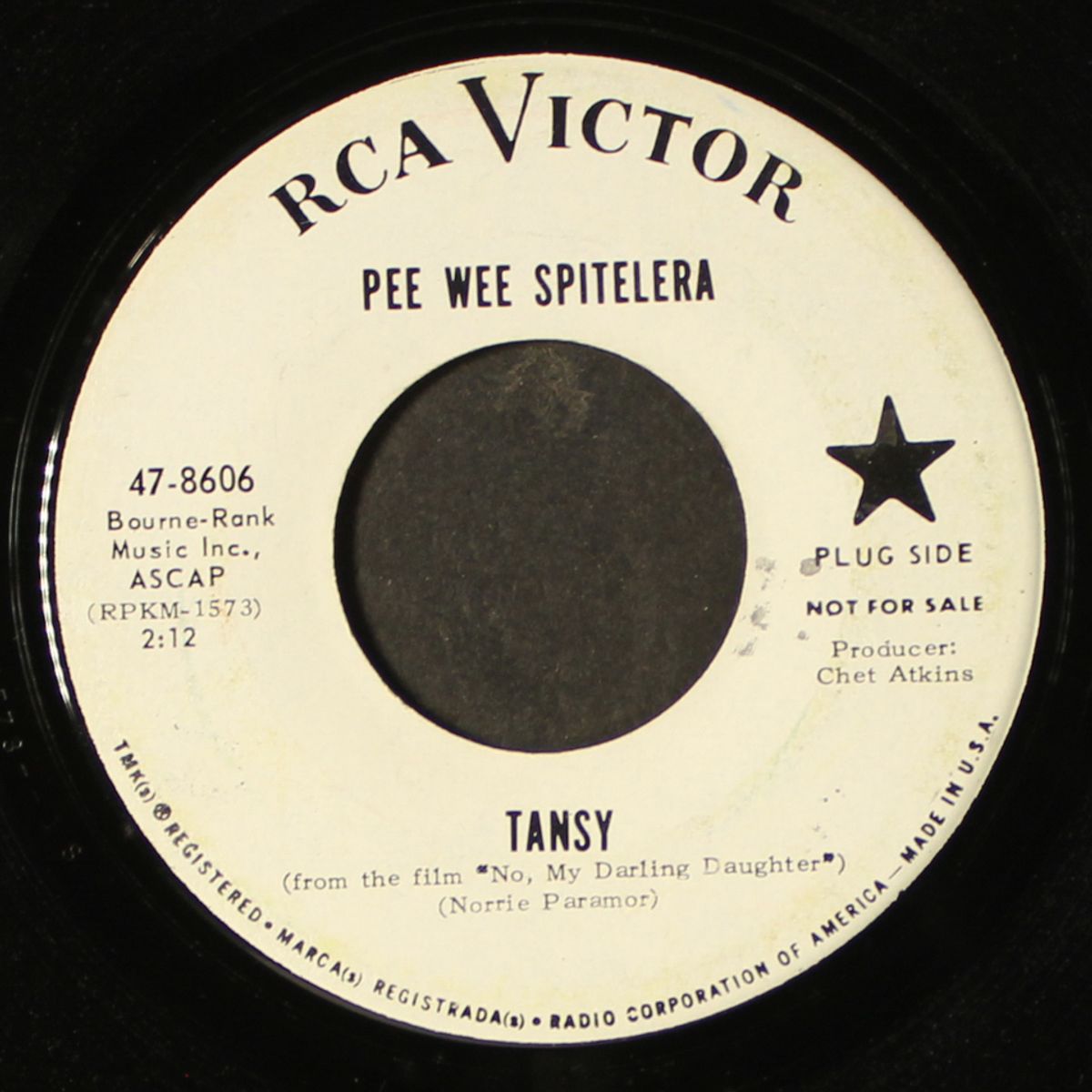 creole clarinet / tansy by PEE WEE SPITELERA
