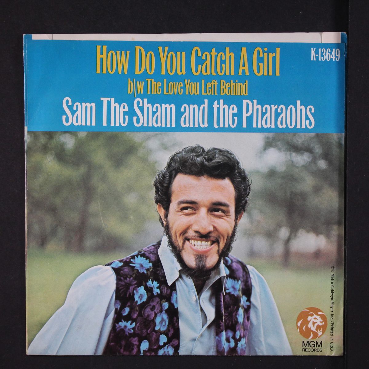 how do you catch a girl by SAM THE SHAM & PHARAOHS