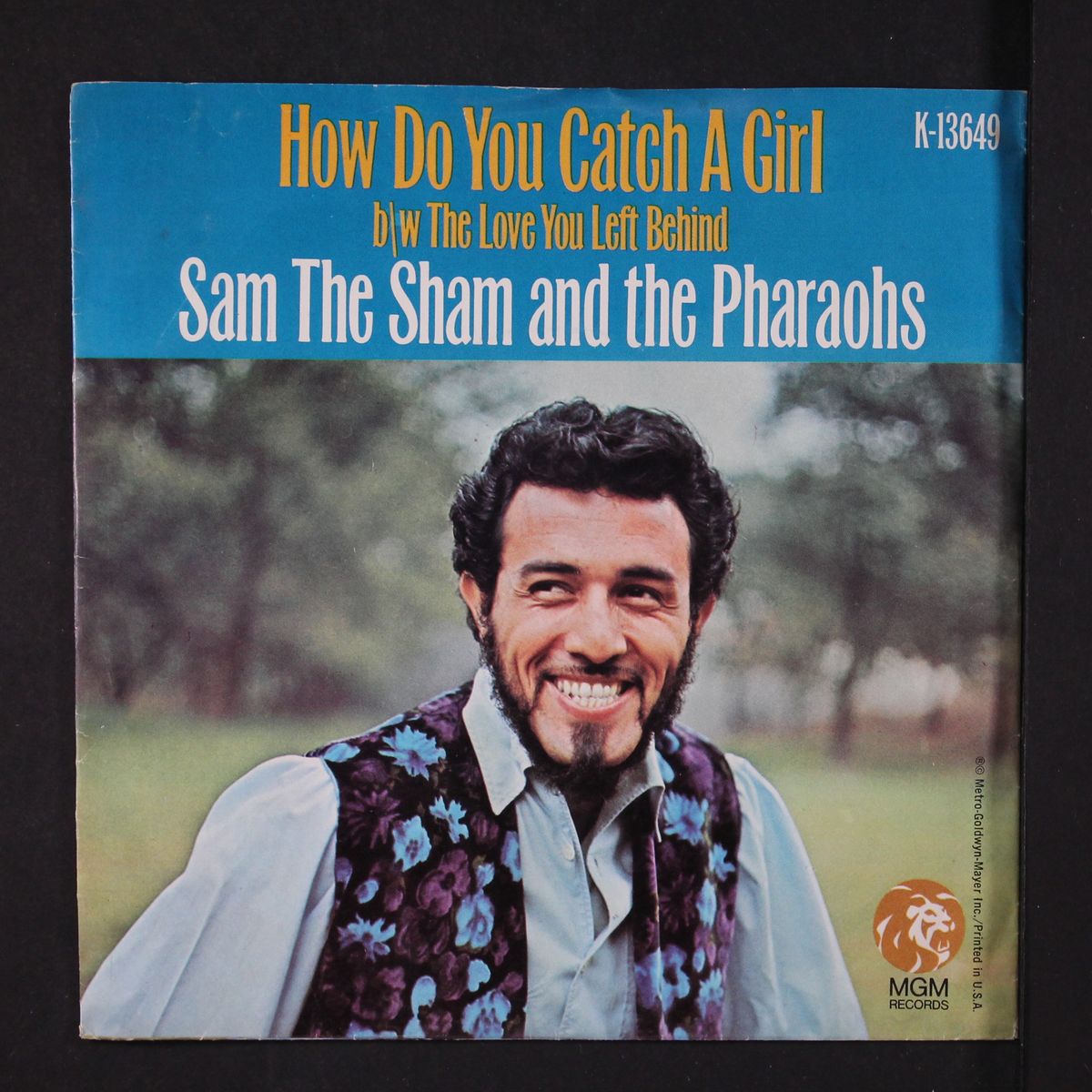 how do you catch a girl by SAM THE SHAM & PHARAOHS