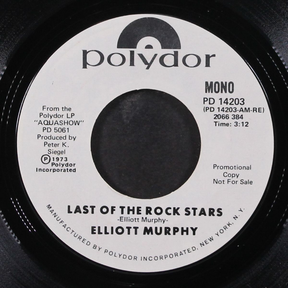 last of the rock stars by ELLIOT MURPHY