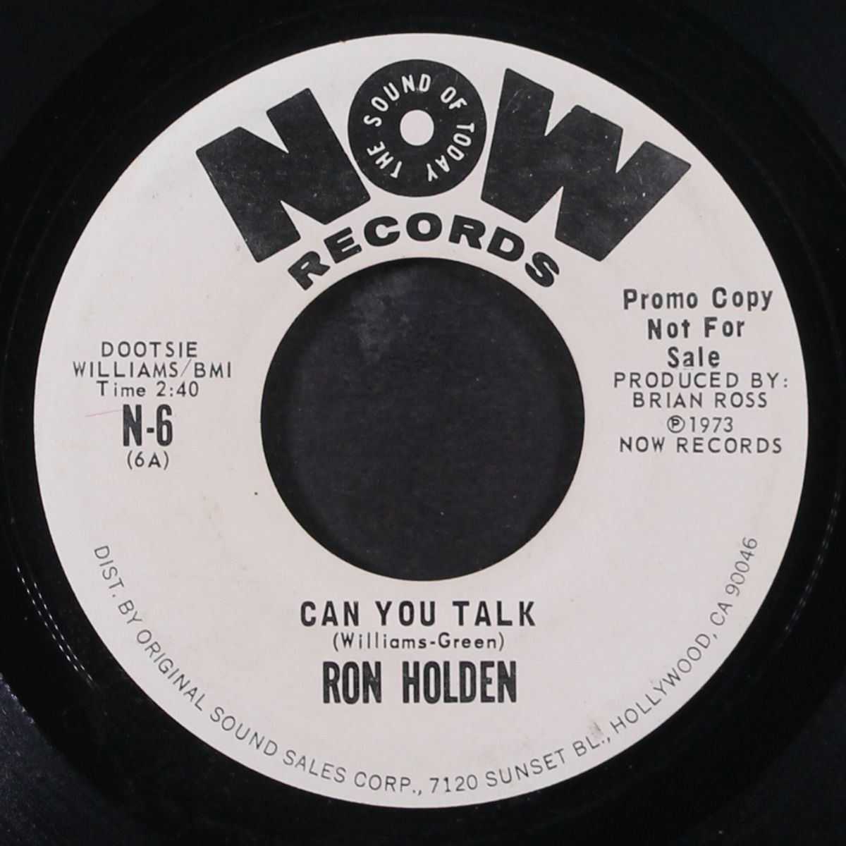 can you talk by RON HOLDEN