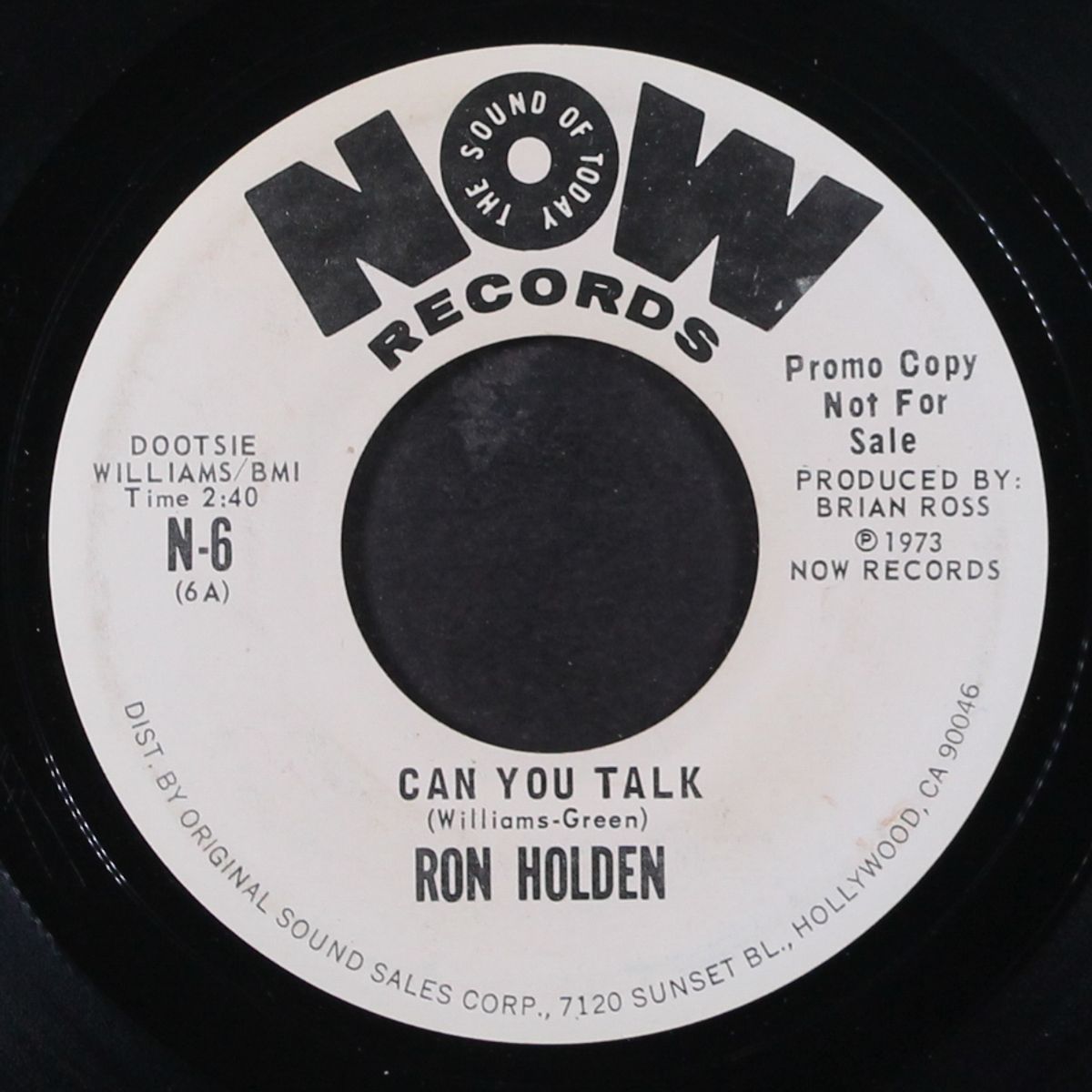 can you talk by RON HOLDEN