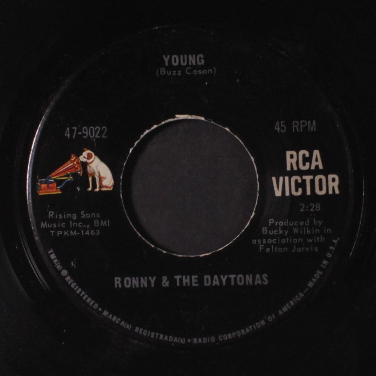 winter weather / young by RONNY & DAYTONAS