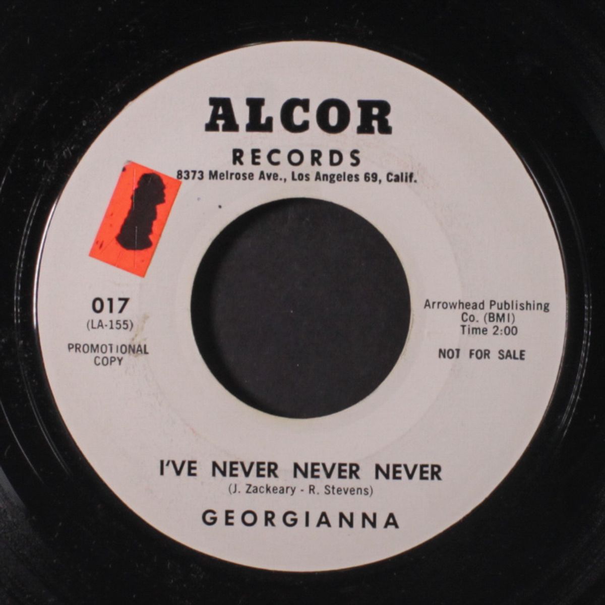 i've never never never / hello fools by GEORGIANNA