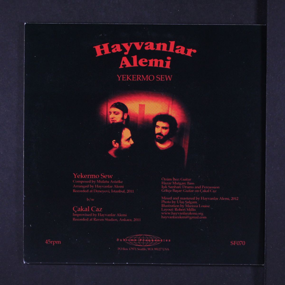 yekermo sew / cakal caz by HAYVANLAR ALEMI