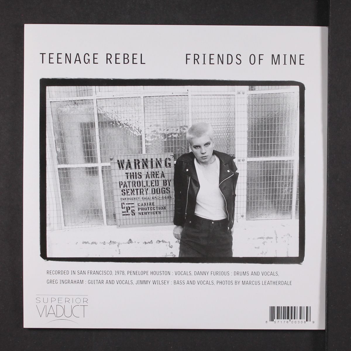 teenage rebel / friends of mine by AVENGERS