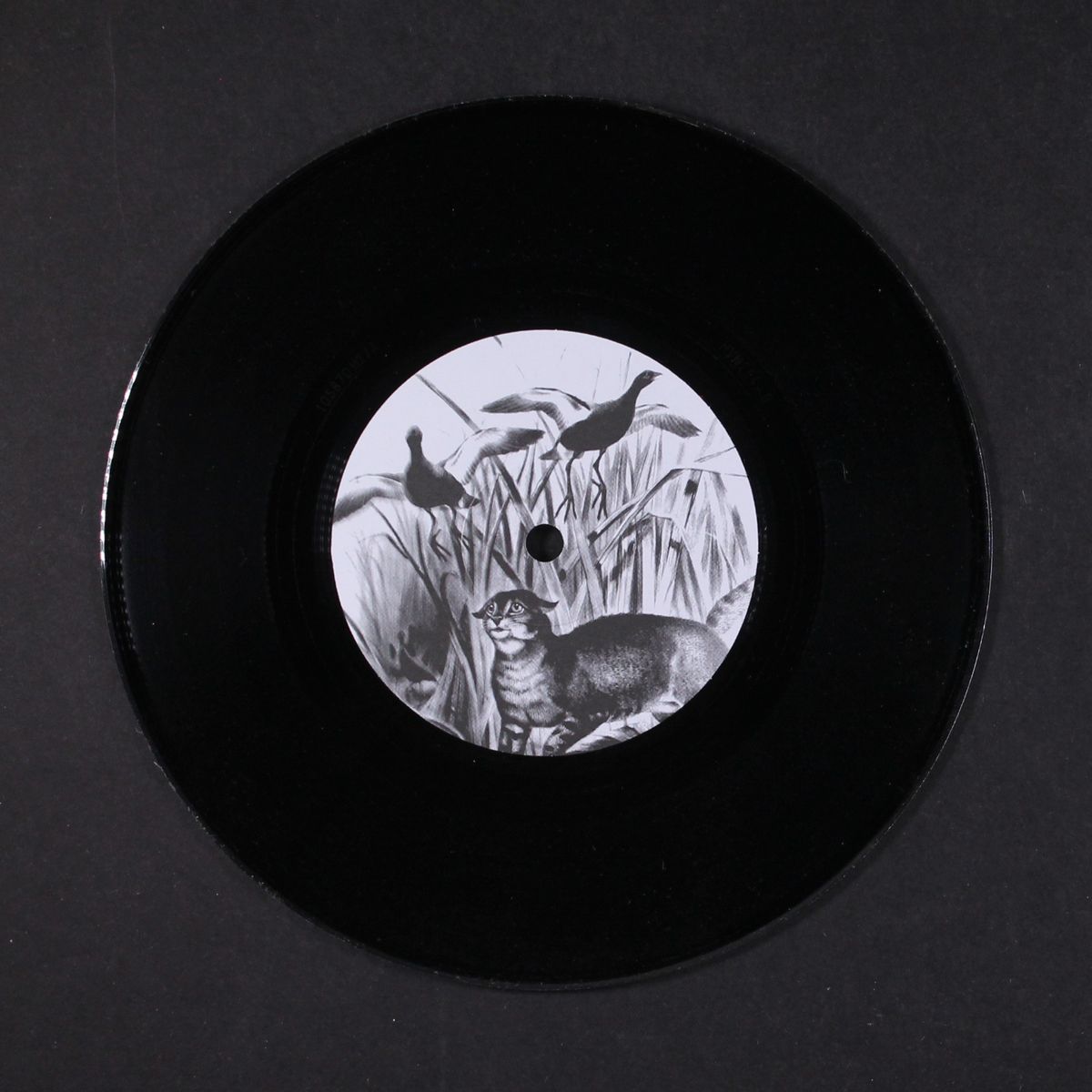 things we be / feathers & tar by CHARLIE BOYER & VOYEURS