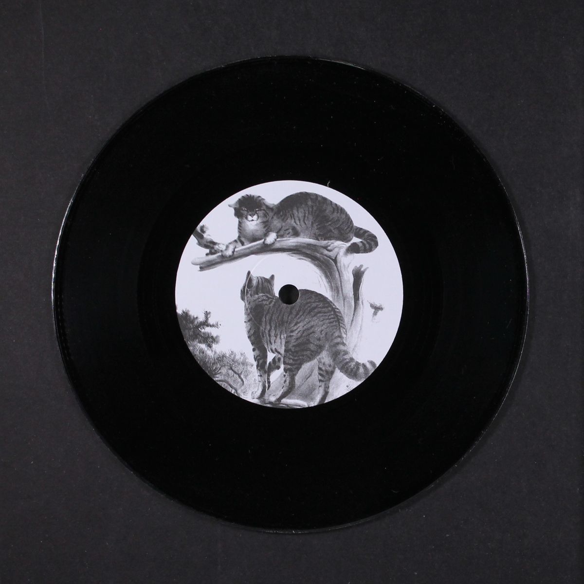 be glamourous / it's my wish by CHARLIE BOYER & VOYEURS