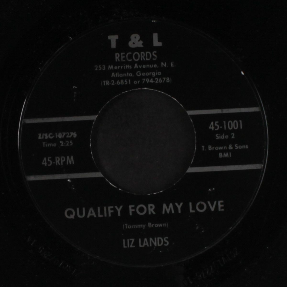 echo in the background / qualify for my love by LIZ LANDS