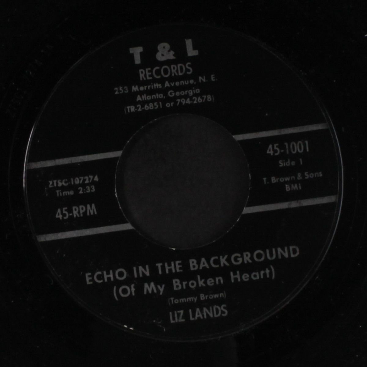 echo in the background / qualify for my love by LIZ LANDS