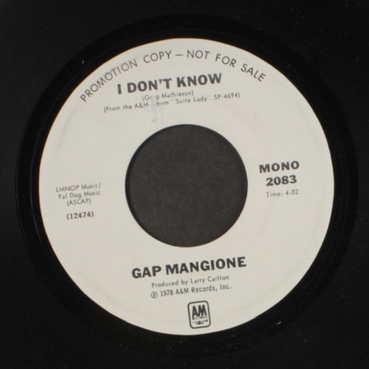 i don't know / mono by GAP MANGIONE