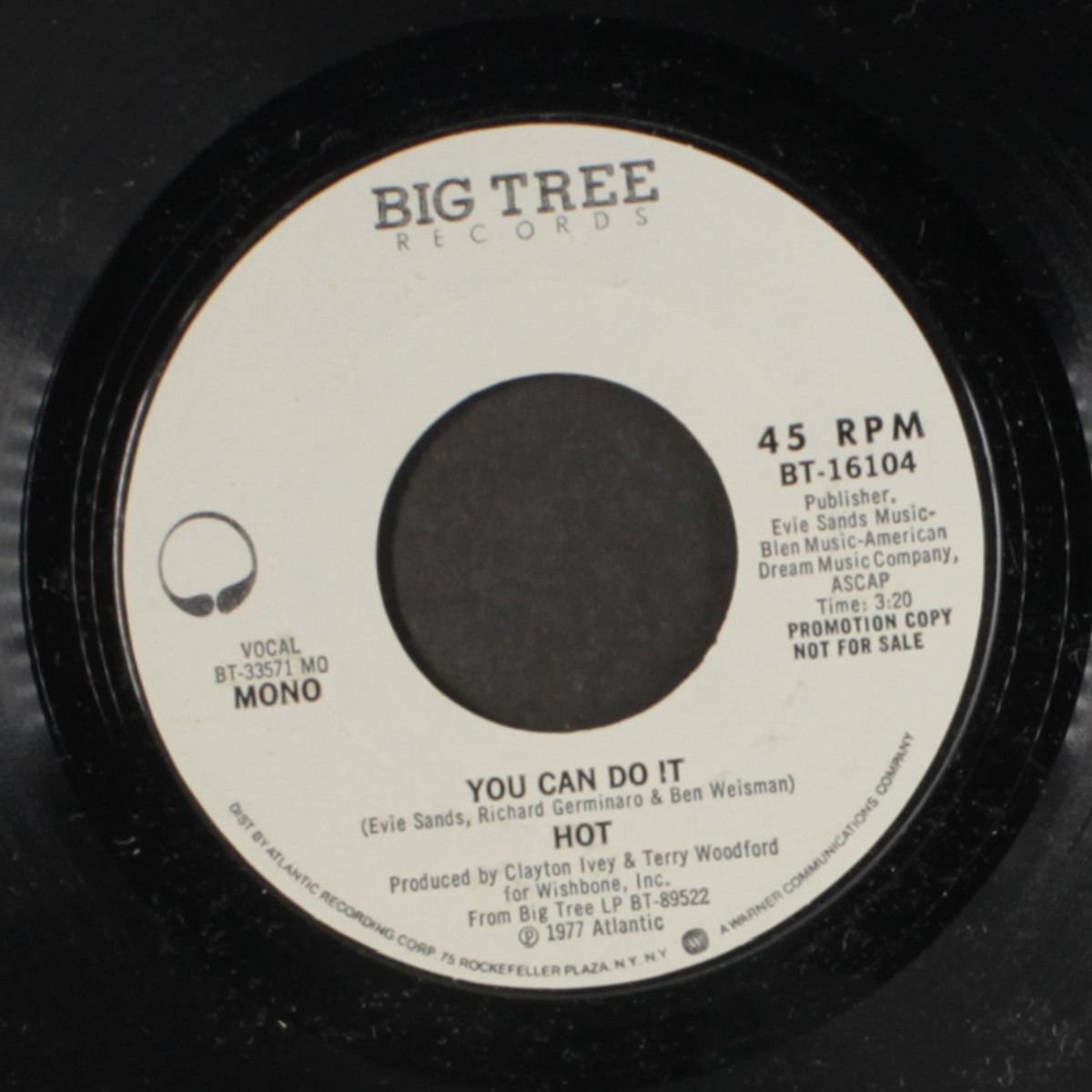 you can do it / mono by HOT