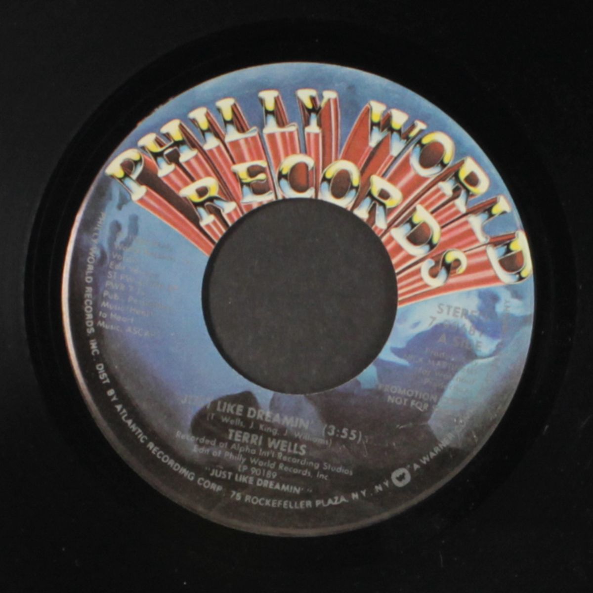 just like dreamin' / same by TERRI WELLS