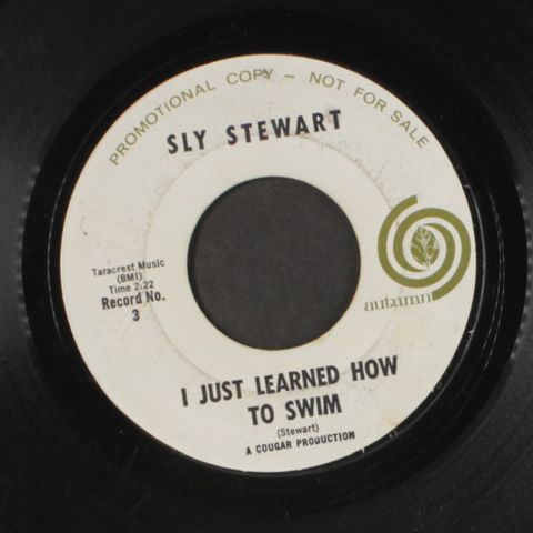 SLY STEWART