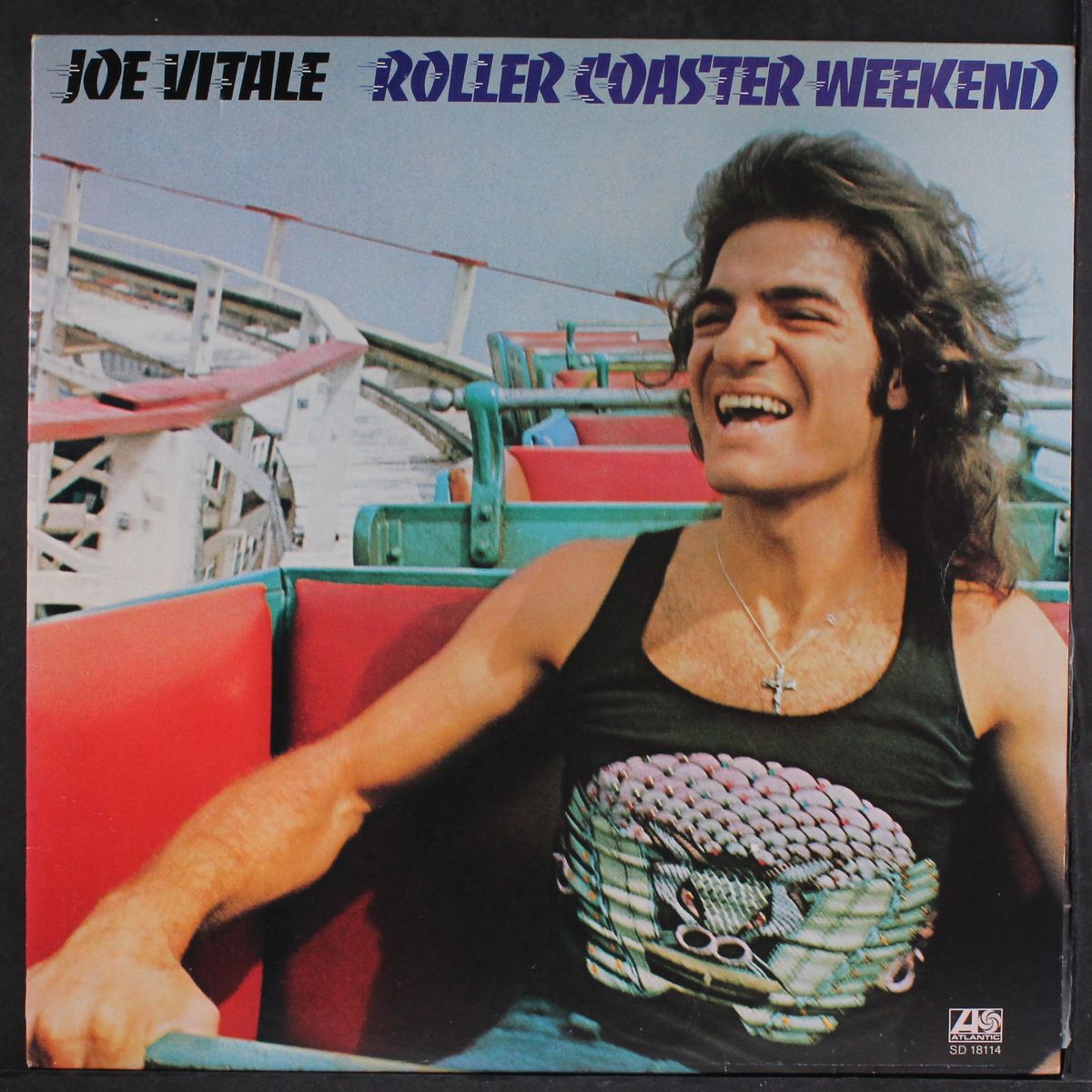 roller coaster weekend by JOE VITALE