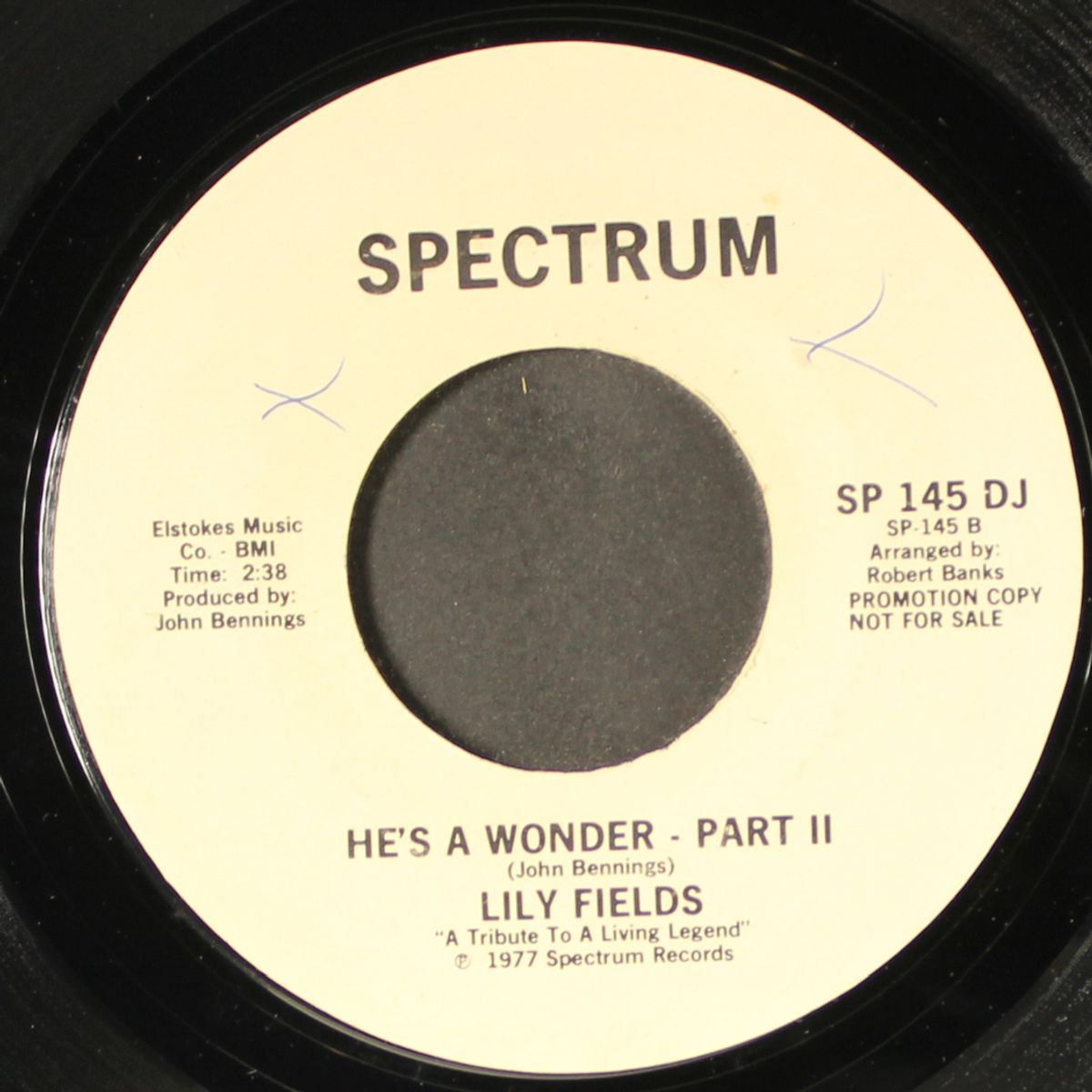 he's a wonder by LILY FIELDS