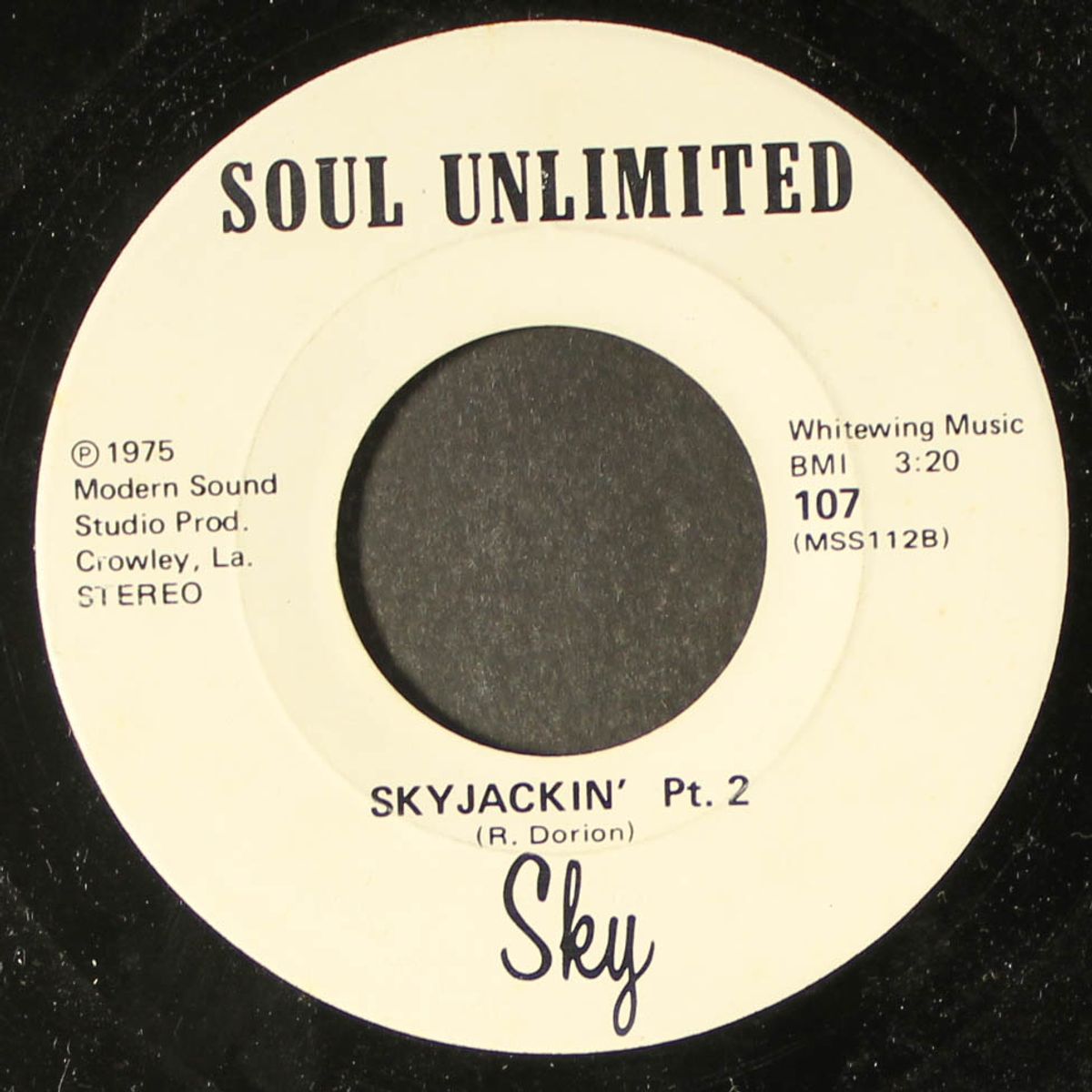 skyjackin' by SKY