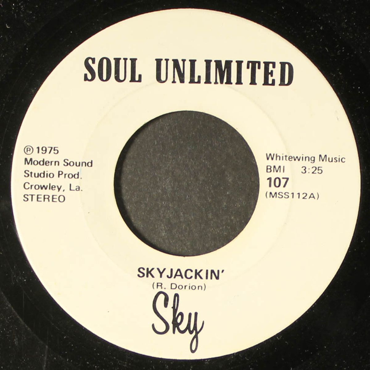 skyjackin' by SKY
