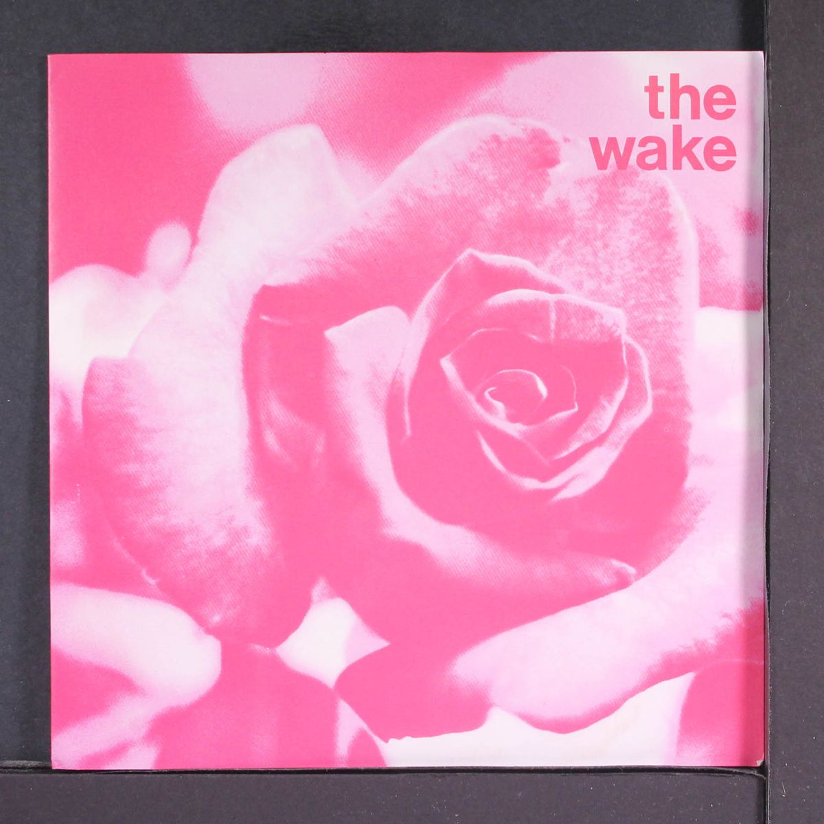 crush the flowers by THE WAKE