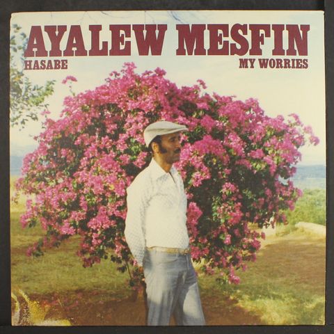 AYALEW MESFIN