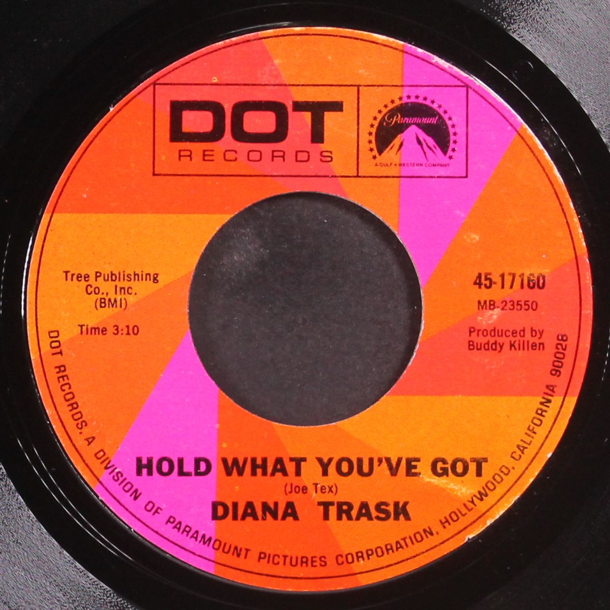 this heart was made for lovin' / hold what you've got by DIANA TRASK