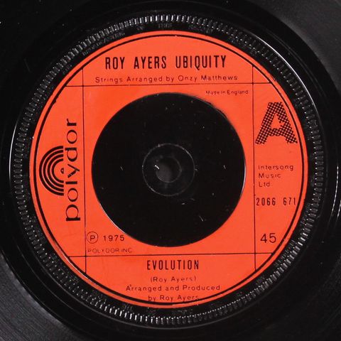 ROY AYERS UBIQUITY