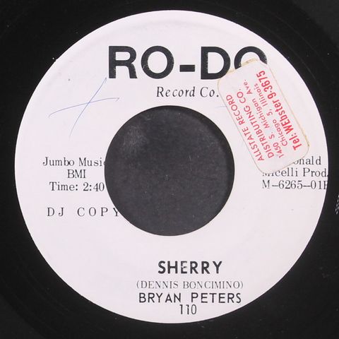 BRYAN PETERS