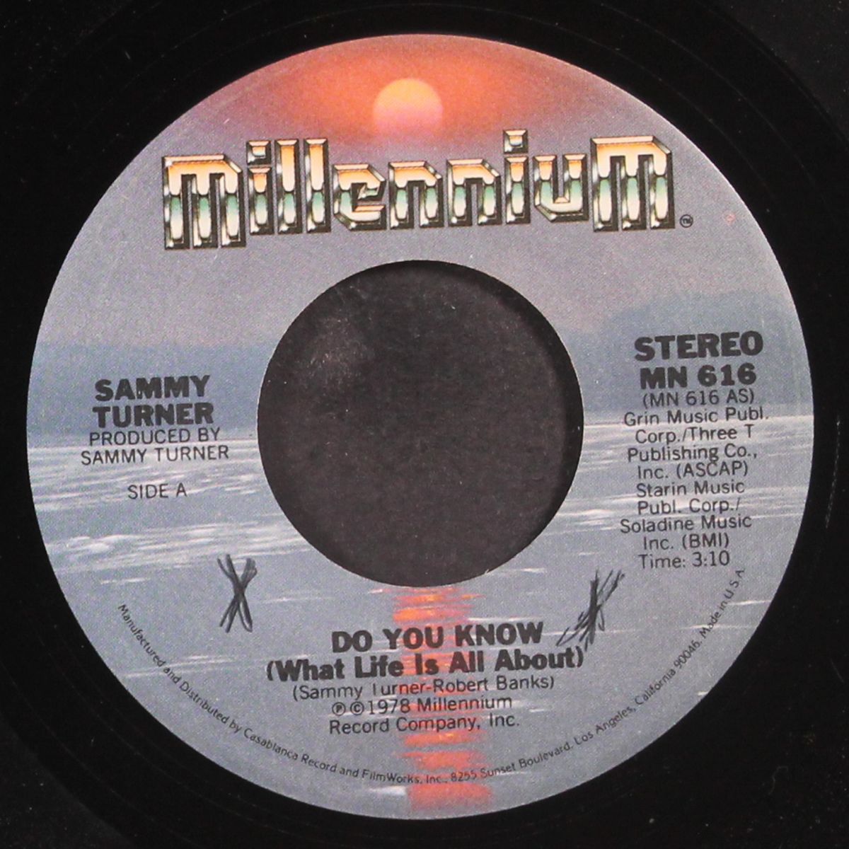 do you know (what life is all about) by SAMMY TURNER