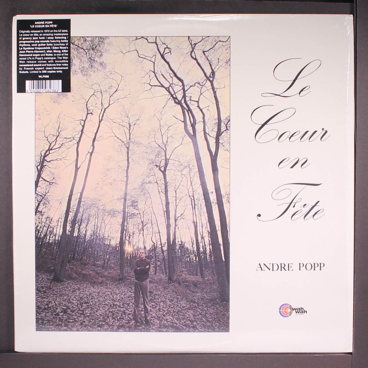 le coeur en fete by ANDRE POPP