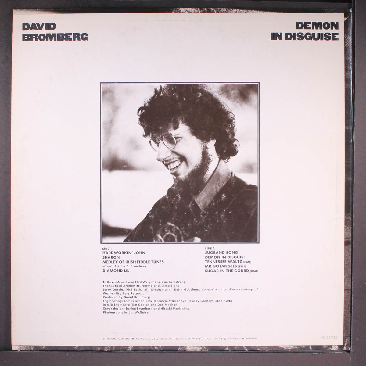 demon in disguise by DAVID BROMBERG