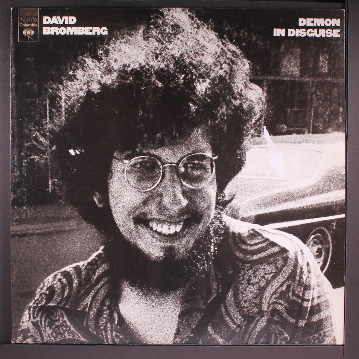 demon in disguise by DAVID BROMBERG