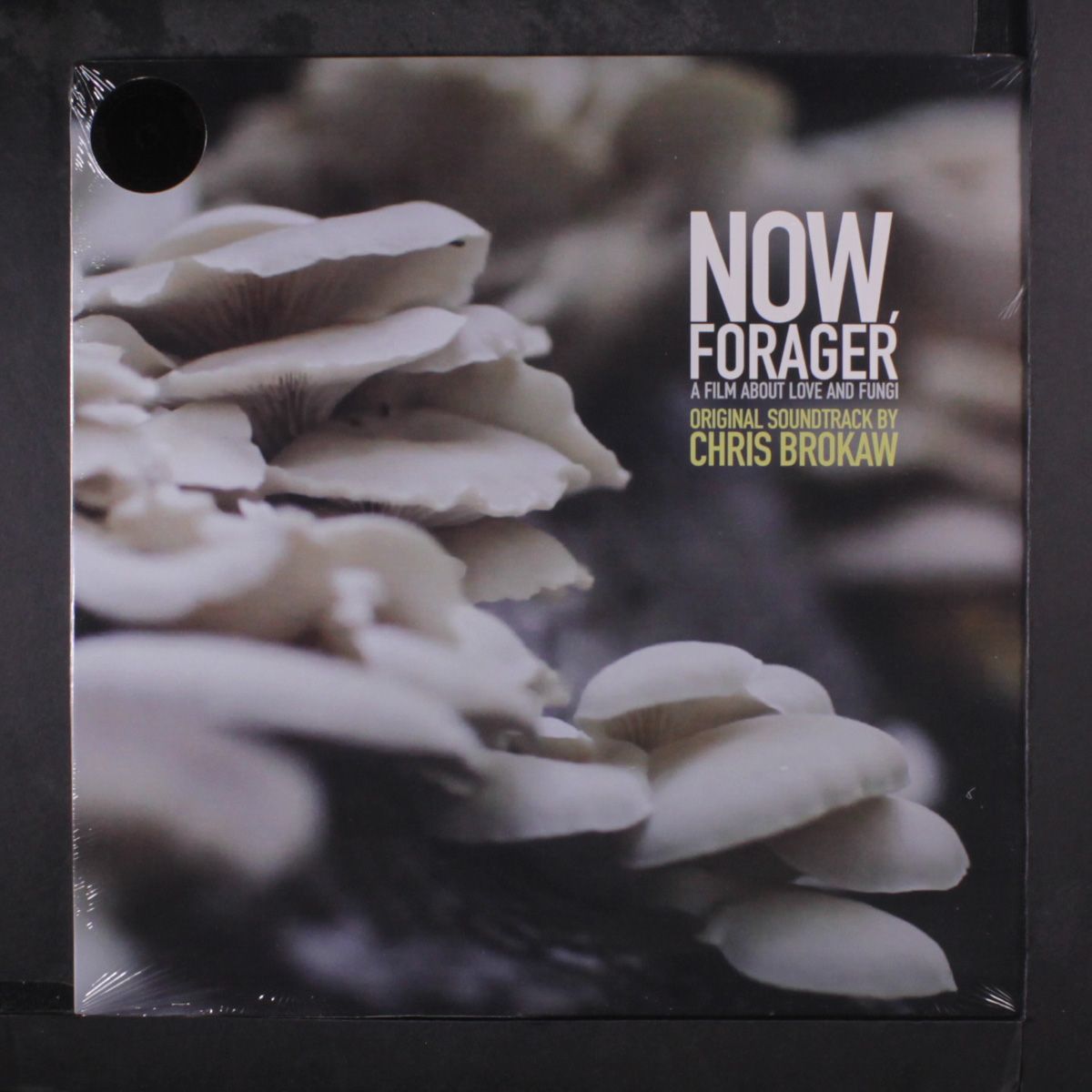 now, forager by CHRIS BROKAW