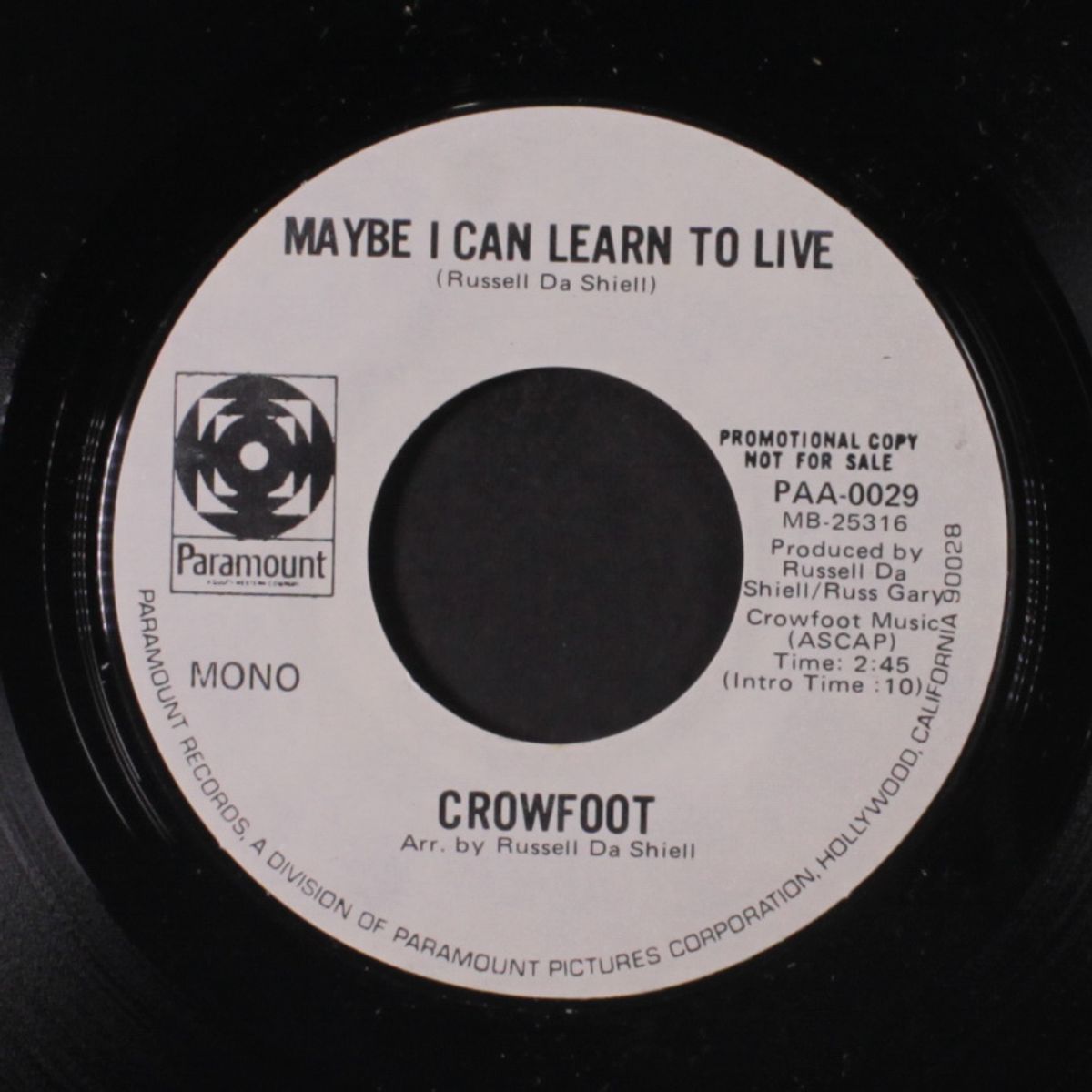 california rock'n roll / maybe i can learn to live by CROWFOOT