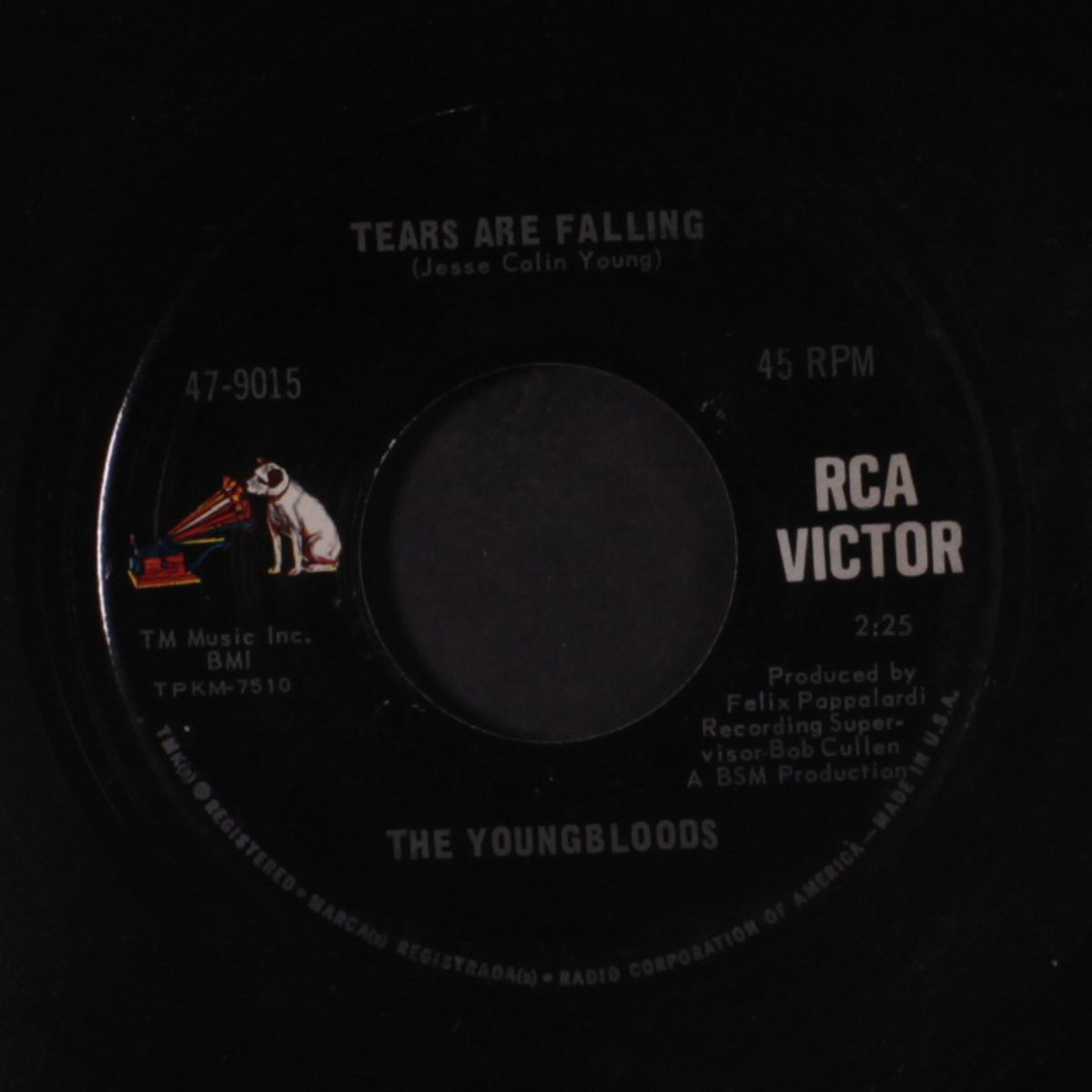 grizzly bear / tears are falling by YOUNGBLOODS