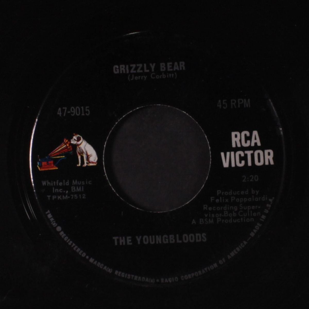 grizzly bear / tears are falling by YOUNGBLOODS