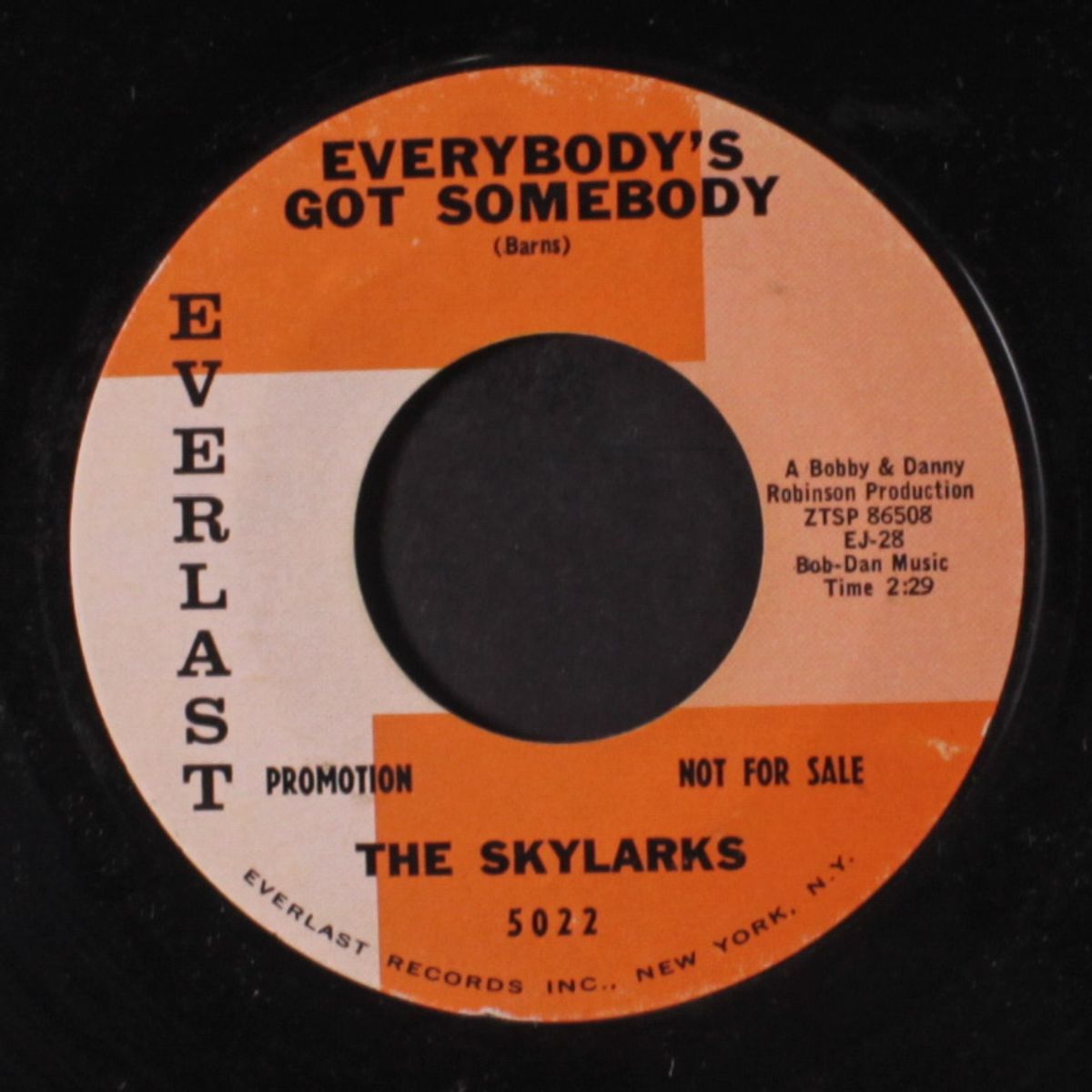 jeannie / everybody's got somebody by SKYLARKS