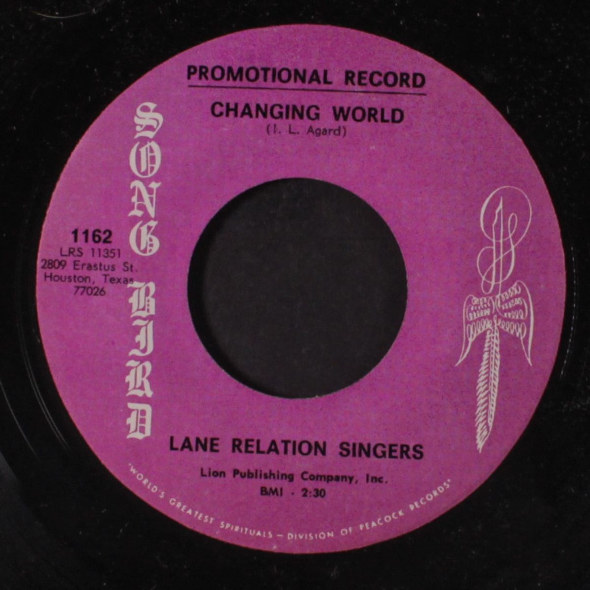 judging someone / changing world by LANE RELATION SINGERS