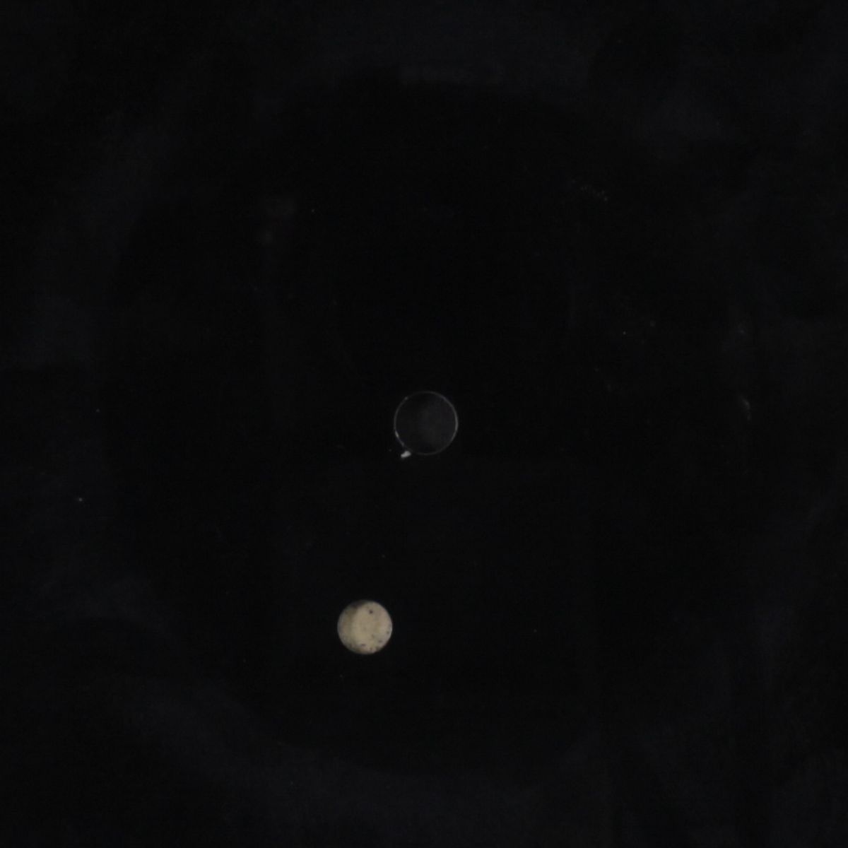 all night man / blank by UNKNOWN ARTIST