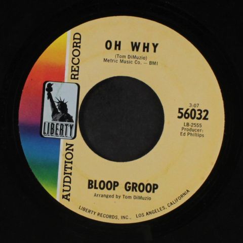 BLOOP GROOP