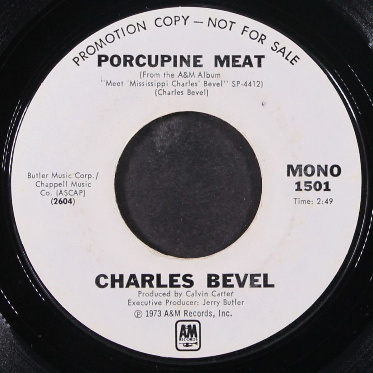 sally b. white / porcupine meat by CHARLES BEVEL