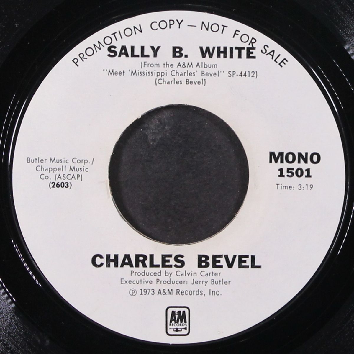 sally b. white / porcupine meat by CHARLES BEVEL