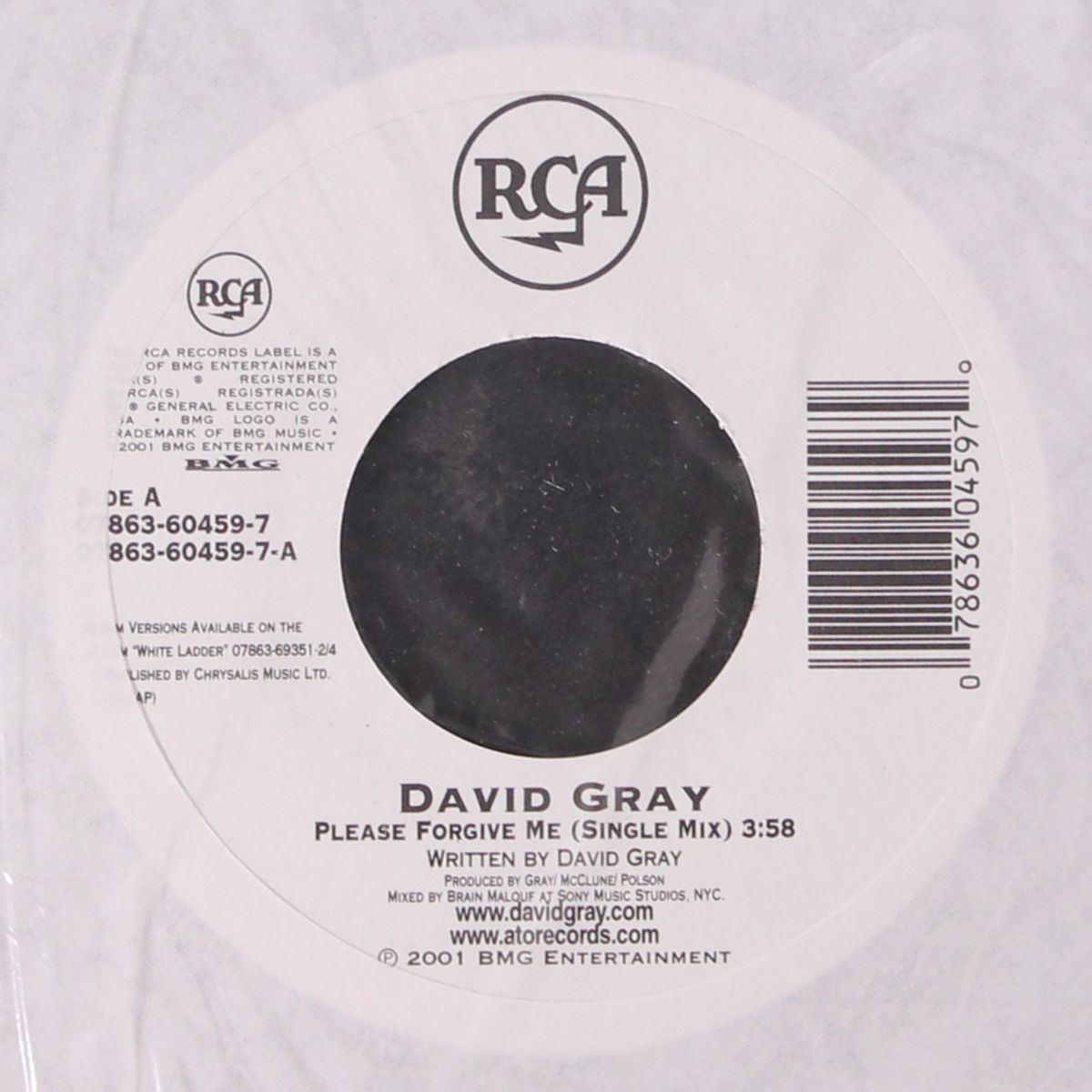 please forgive me by DAVID GRAY