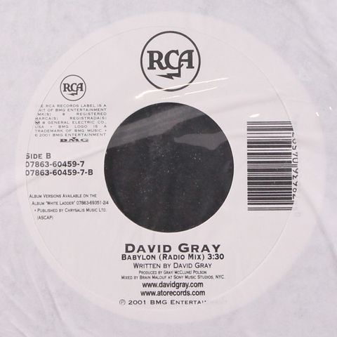 DAVID GRAY
